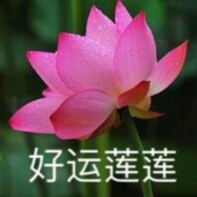 全民主公2测试版下载